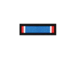 Baretka Krzyż za Wybitną Służbę (ang. Distinguished Service Cross)