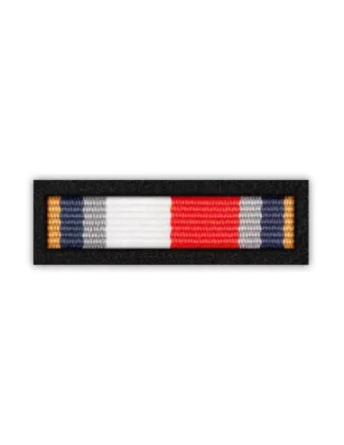 Baretka Medal „Za Wybitne Zasługi dla ZŻWP” (Związku Żołnierzy Wojska Polskiego) (przypinane na pinsie)