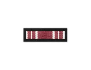 Baretka Brązowy Medal Zasłużony dla Obrony terytorialnej