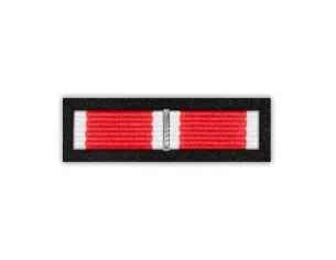 Baretka Medal 25-lecia wiązku Weteranów i Rezerwistów Wojska Polskiego (przypinane na pinsie)