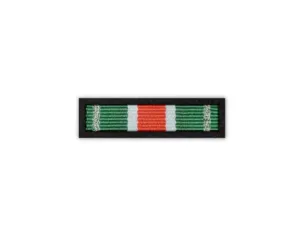 Baretka Medal Pamiątkowy ZO NSZZ FSG przy BiOSG (przypinane na pinsie)