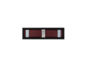 Baretka Srebrny Krzyż Zasługi