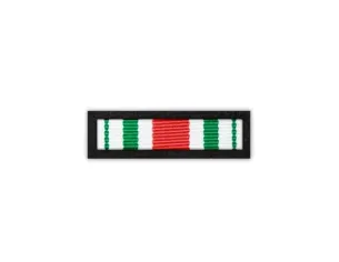 Baretka Medal 30-lecia NSZZ Funkcjonariuszy Straży Granicznej (przypinane na pinsie)