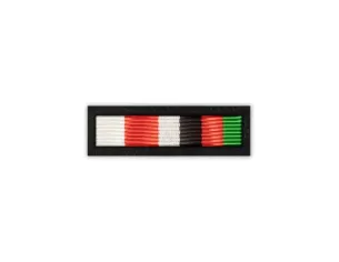 Baretka Medal Pamiątkowy XII zmiany PKW  Afganistan RSM - Resolut Support Mission