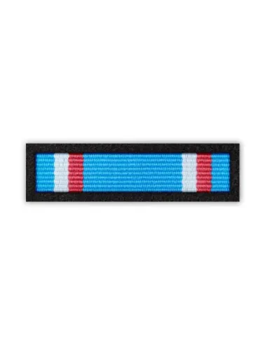 Baretka Medal 100-Lecie Bitwy Warszawskiej - wersja 1 - Związek Piłsudczyków Rzeczypospolitej Polskiej (przypinane na pinsie)