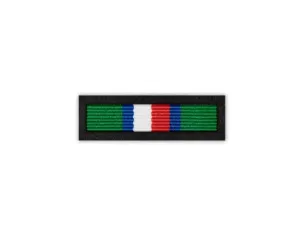 Baretka Medal za Zasługi w Popularyzowaniu Ochrony Polskich Granic (przypinane na pinsie)